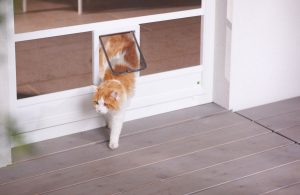 Insektenschutz Drehtüre Katzenklappe